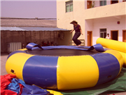 Great Fun Inflatable Water Trampoline