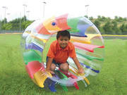 Custom-made Kids Inflatable Water Roller on grassland