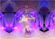 Commercial Grade Inflatable Show Ball Whole Price for Sale