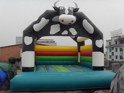 Bounce House Slide Combos