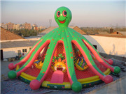 inflatable colorful jellyfish castle for children