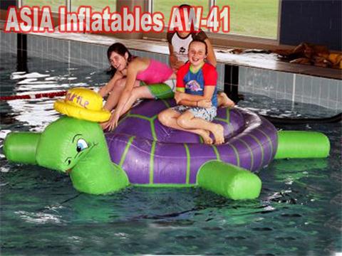 Aqua Run Pool Inflatables