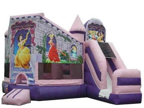 Bounce House Slide Combos