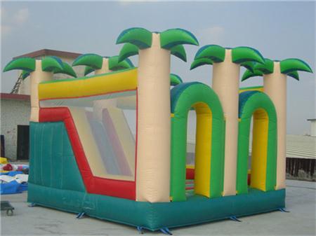 Bounce House Slide Combos