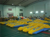 Best Fun Inflatable Flying Fish Boat for Wholesale Price